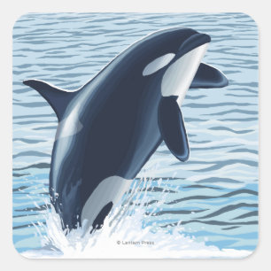 Sticker Carré Île de Whidbey, sauter de WashingtonOrca