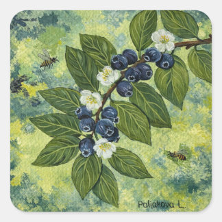 Sticker Carré Illustration botanique de branche de myrtille