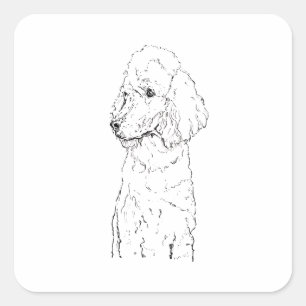 Sticker Carré Illustration de chien Caniche Standard - Art à l'e