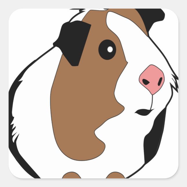 Sticker Carré Illustration de Cochon de Guinée (Devant)