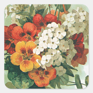 Sticker Carré Illustration de couverture du catalogue de graines