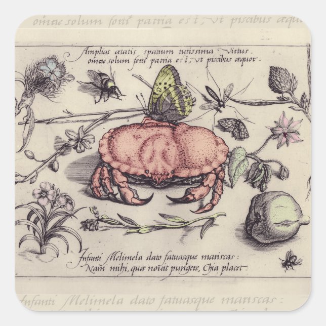 Sticker Carré Illustration de la fleur d'insectes botaniques du  (Devant)