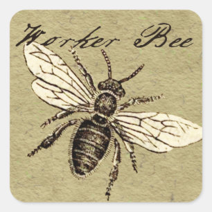 Sticker Carré Illustration de l'insecte abeille du travailleur