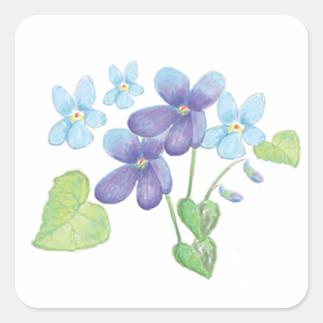 Sticker Carré Illustration des fleurs de violet sauvages (Devant)