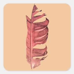 Sticker Carré Illustration originale de dessin de plumes