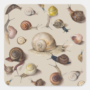 Sticker Carré Illustration scientifique de limaces de jardin vin
