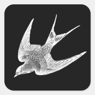 Sticker Carré Illustration vintage d'hirondelle - oiseau 1800's
