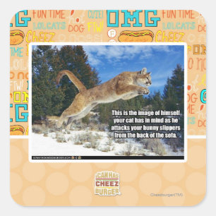 Sticker Carré Image de chat