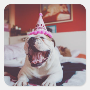 Sticker Carré Images Getty British Bulldog