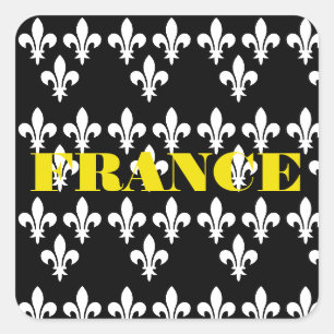 Sticker Carré Impression héraldique médiévale de France Art mono
