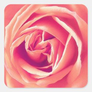 Sticker Carré imprimé rose corail