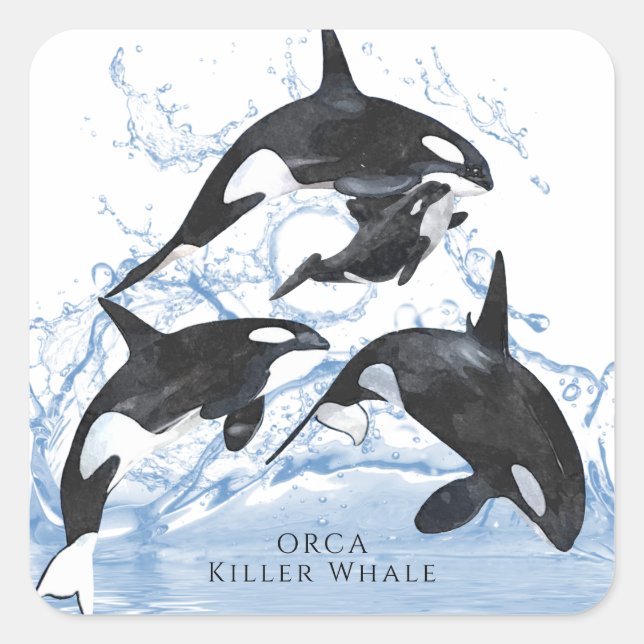 Sticker Carré Incroyable Orques d'aquarelle noire et blanche (Devant)
