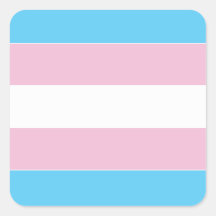 Indicateur de fierté transexuelle