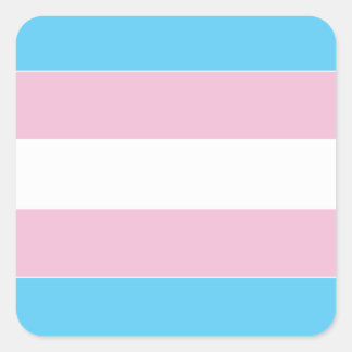 Sticker Carré Indicateur de fierté transexuelle