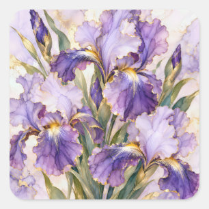 Sticker Carré Iris pourpre avec bordure dorée