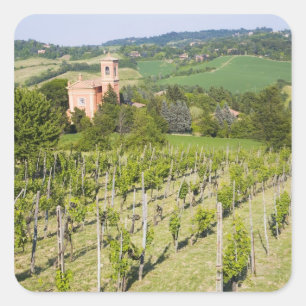 Sticker Carré Italie, Bologne, Vue à travers le vignoble jusqu'à
