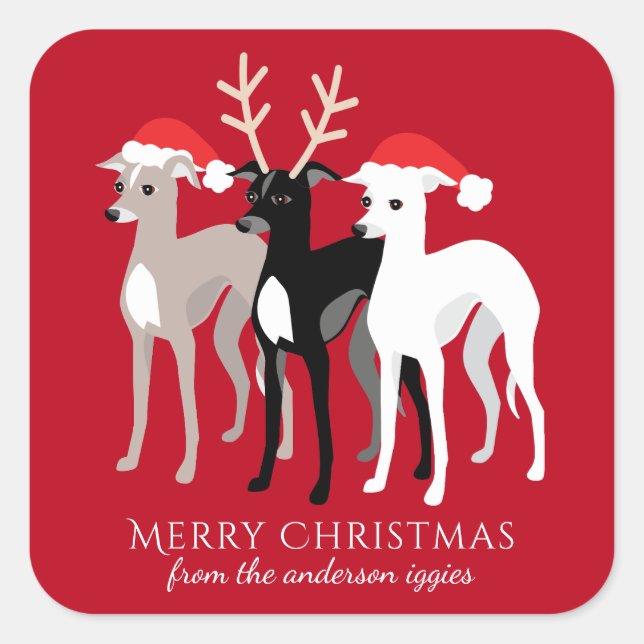 Sticker Carré Italien Greyhound Christmas Iggy (Devant)