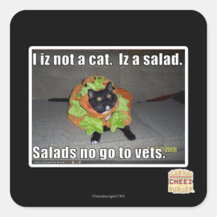 Sticker Carré Iz I pas un chat. Iz une salade