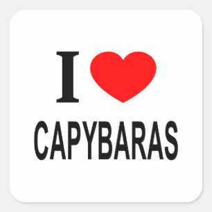 STICKER CARRÉ J'❤️ CAPYBARAS J'AIME CAPYBARAS J'AIME CAPYBARAS