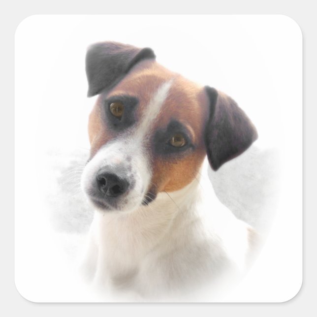 Sticker Carré Jack Russell feuille d'autocollants (Devant)