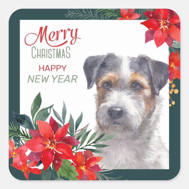 Sticker Carré Jack Russell Terrier Poinsettia frontière Noël (Devant)