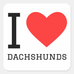 Sticker Carré J'adore les dachshunds