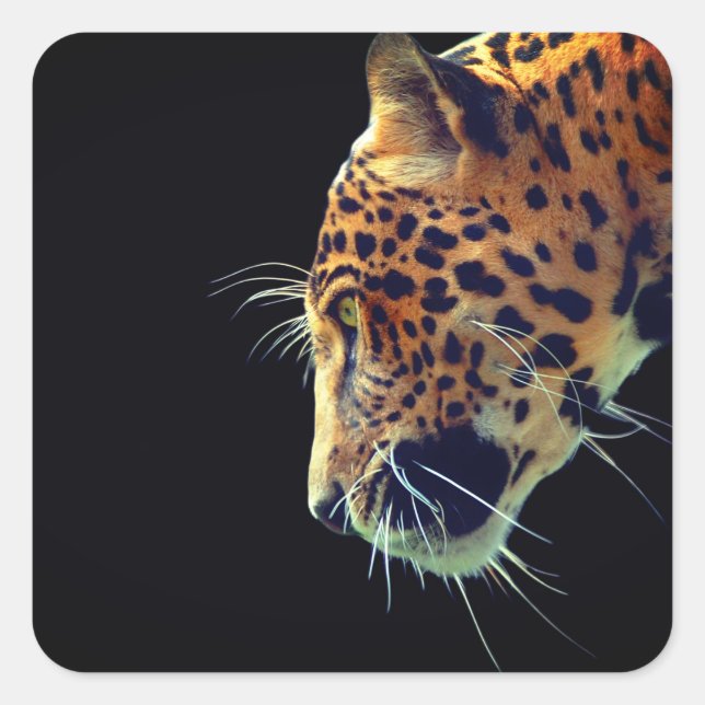 Sticker Carré Jaguar (Devant)