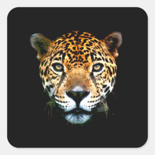 Sticker Carré Jaguar
