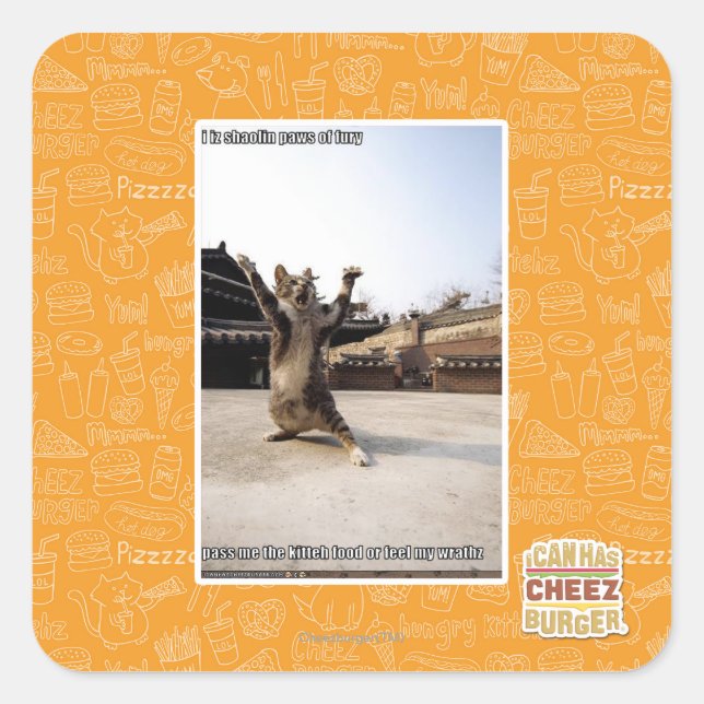 Sticker Carré J'ai des pattes de shaolin de fureur (Devant)