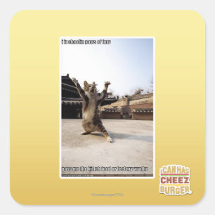 Sticker Carré J'ai des pattes de shaolin de fureur