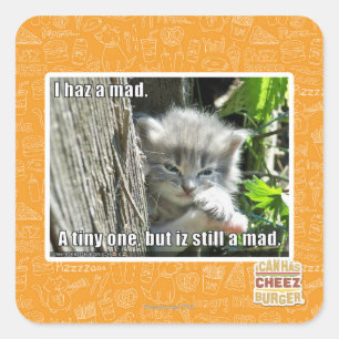 Sticker Carré J'ai un fou