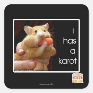 Sticker Carré J'ai un karot