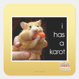 Sticker Carré J'ai un karot