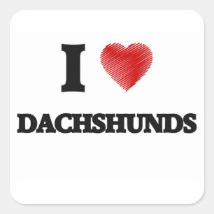Sticker Carré J'aime Dachshunds
