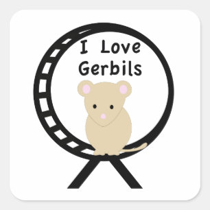 Sticker Carré J'aime des gerbilles