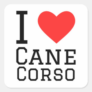 Sticker Carré J'aime le corso à canne