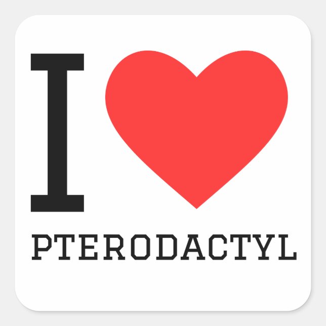 Sticker Carré J'aime le pterodactyle (Devant)