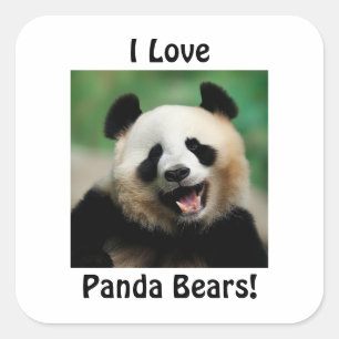 Sticker Carré J'Aime Les Panda Bears