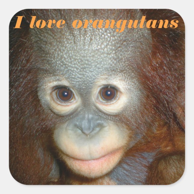 Sticker Carré J'aime l'orang-outan (Devant)