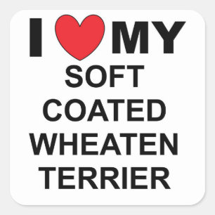 Sticker Carré j'aime mon terrier à blé doux