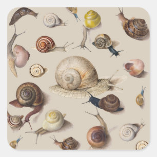 Sticker Carré Jardin d'escargots Animaux de compagnie Gastropod 