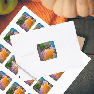Sticker Carré Jardin encore vie avec citrouille orange