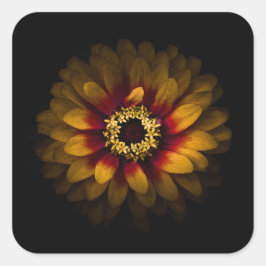 Sticker Carré Jardin Fleurs No 69 Version couleur