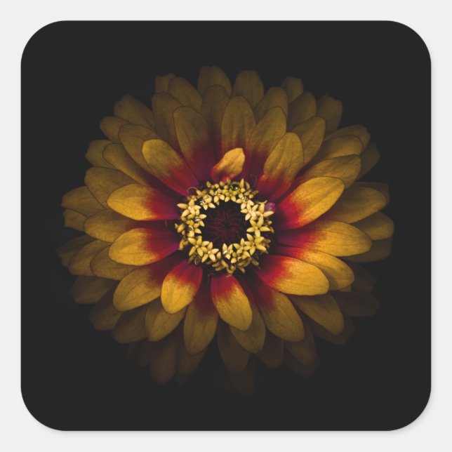 Sticker Carré Jardin Fleurs No 69 Version couleur (Devant)