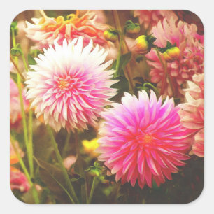 Sticker Carré Jardin romantique rose Dahlia