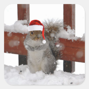 Sticker Carré Jaunty Squirrel avec l'autocollant de Noël Hat Ho