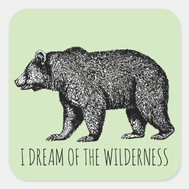 Sticker Carré Je Rêve De L'Ours De Marche Wilderness (Devant)