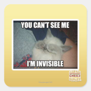 Sticker Carré Je suis invisible