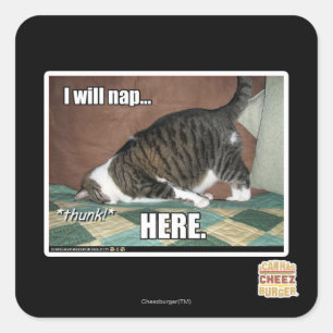 Sticker Carré Je vais faire la sieste ici
