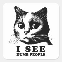 Je vois des gens stupides | Chat drôle